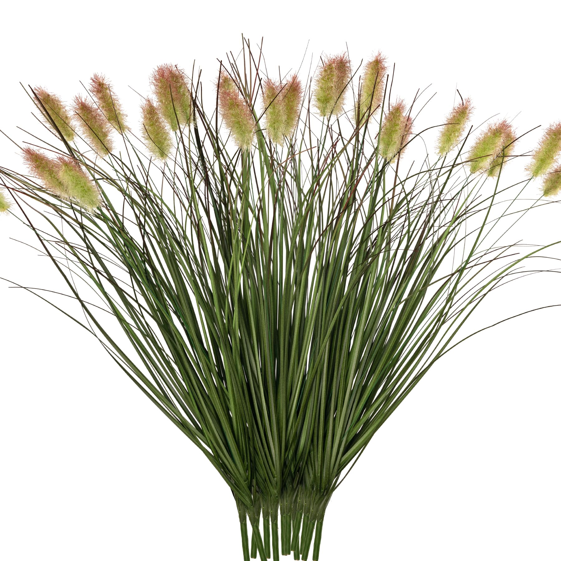 Ttranewsoo face emballage montrant lot de 12 herbes, gain de temps déco