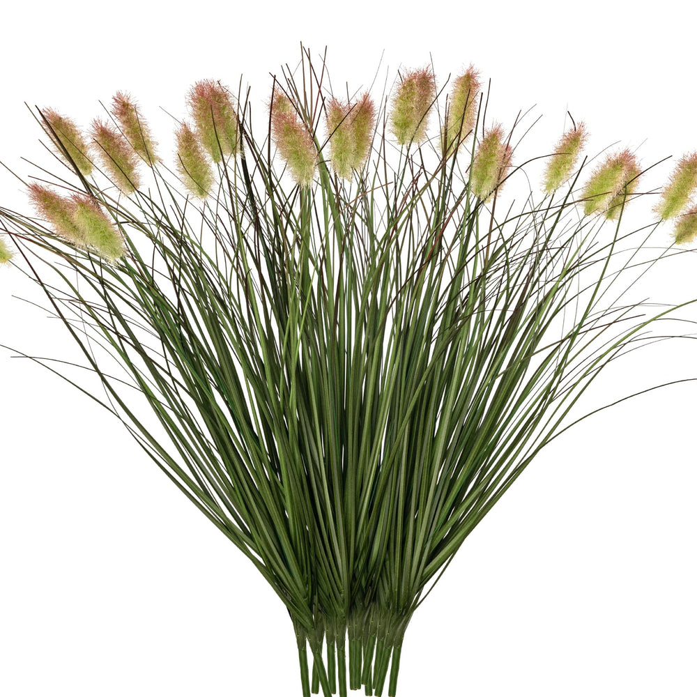 Ttranewsoo face emballage montrant lot de 12 herbes, gain de temps déco
