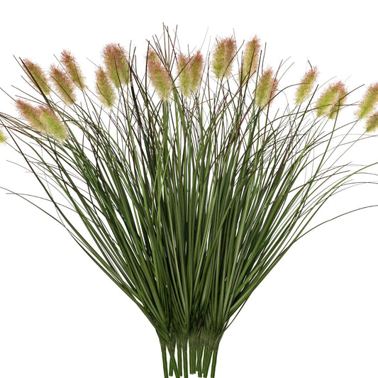 Ttranewsoo face emballage montrant lot de 12 herbes, gain de temps déco
