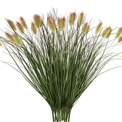 Ttranewsoo face emballage montrant lot de 12 herbes, gain de temps déco
