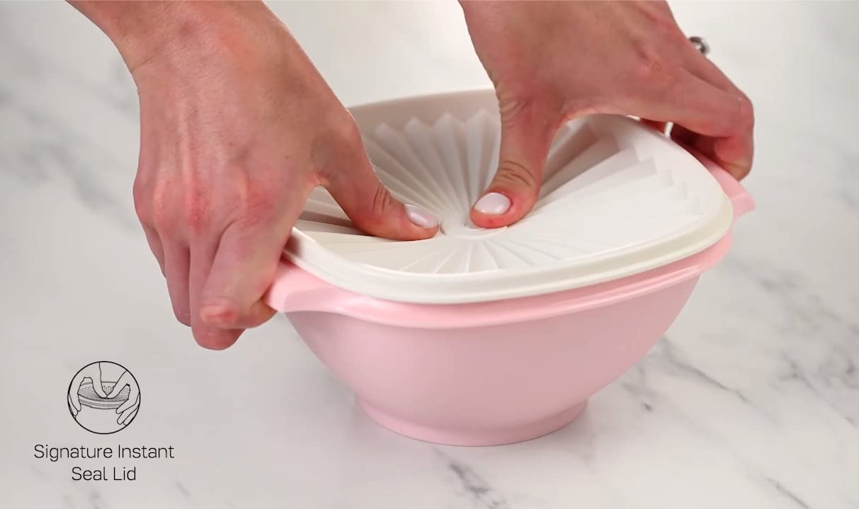 Tupperware comparaison d’échelle montrant les cinq tailles pour portions variées
