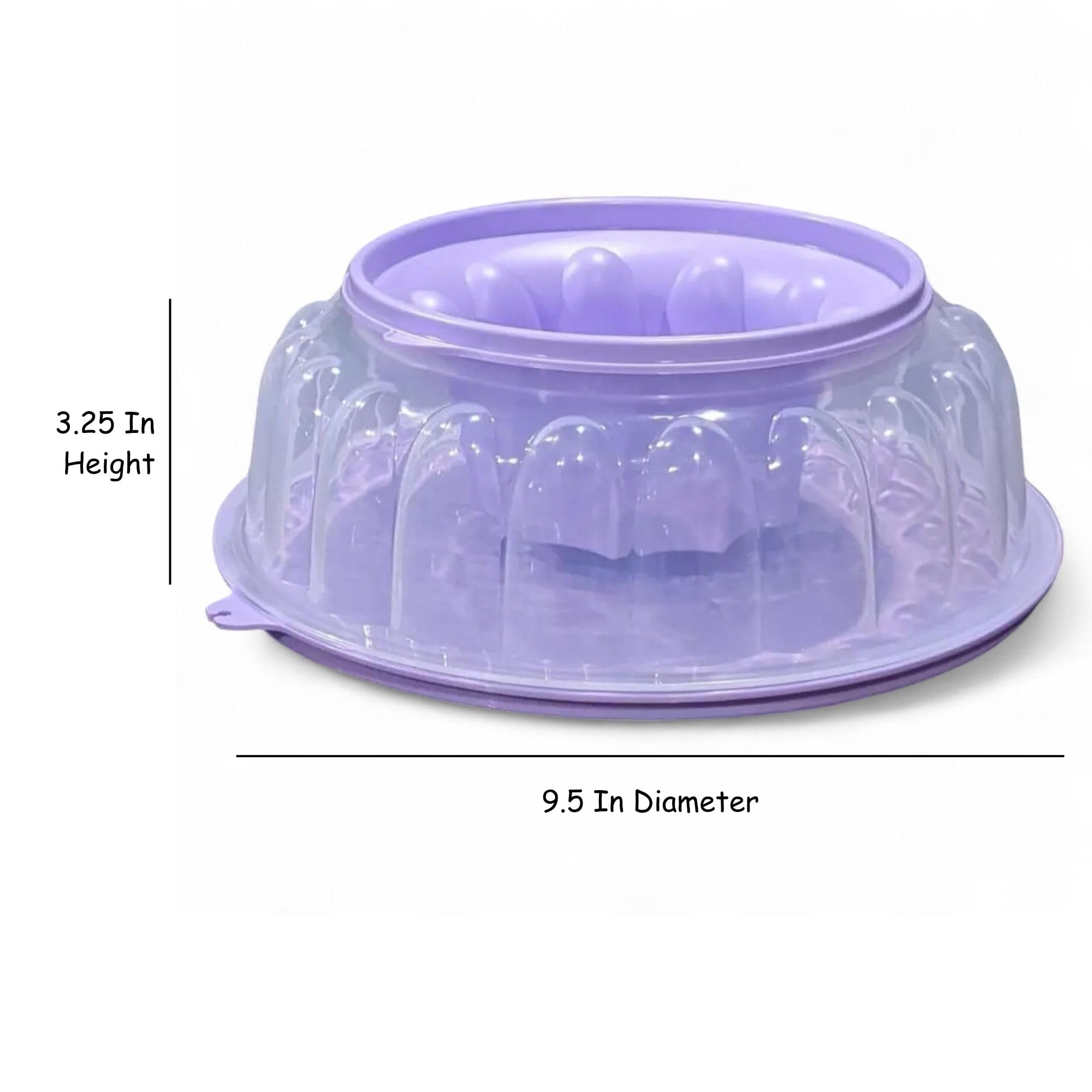 Tupperware comparaison de taille à côté d'une assiette, capacité 6 cups visible
