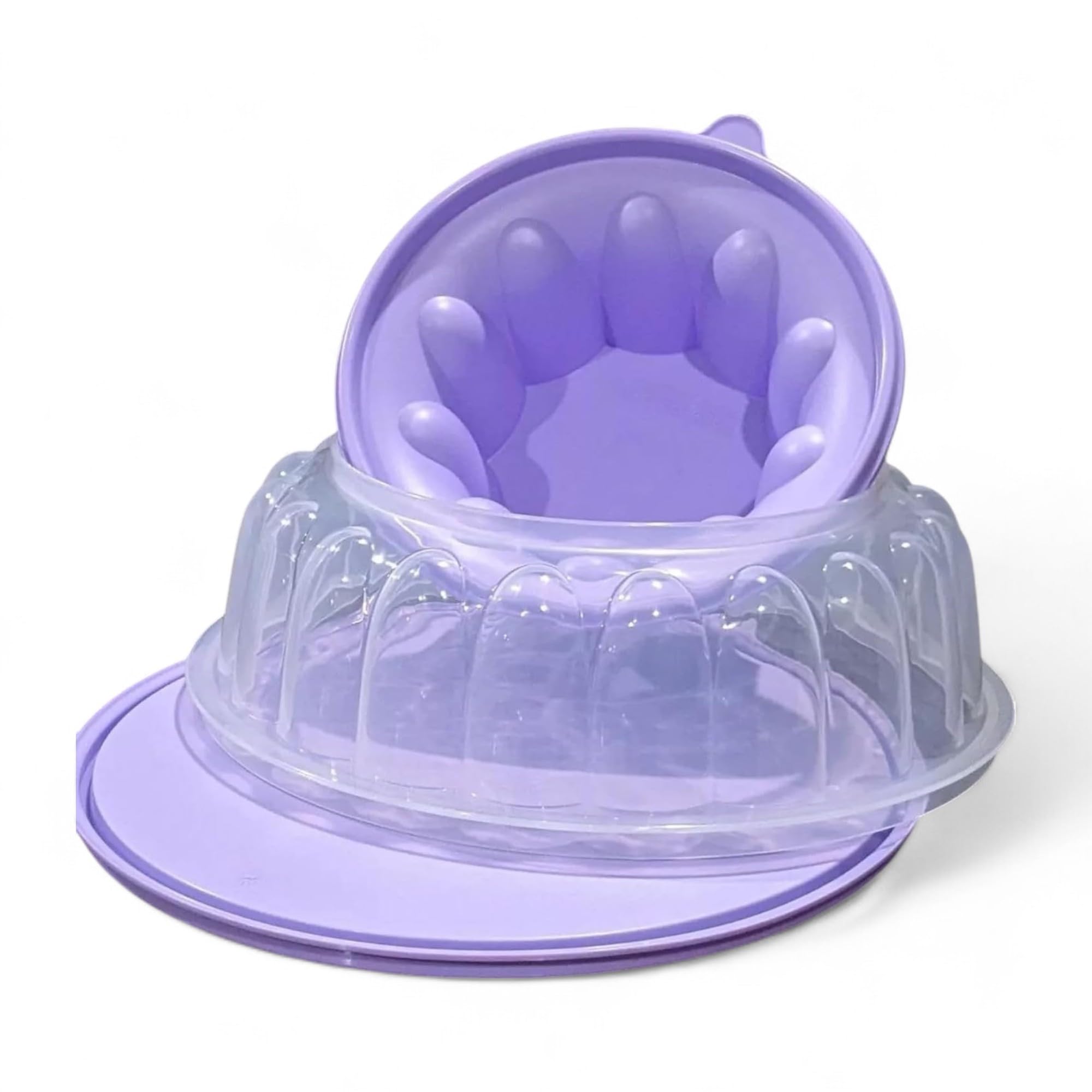 Tupperware moule en usage dans réfrigérateur, maintien hermétique pour transport sûr