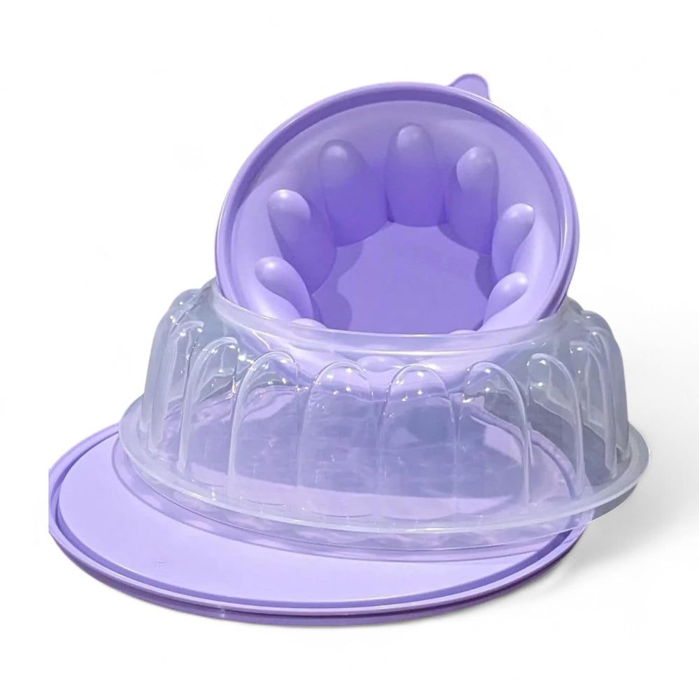 Tupperware moule en usage dans réfrigérateur, maintien hermétique pour transport sûr