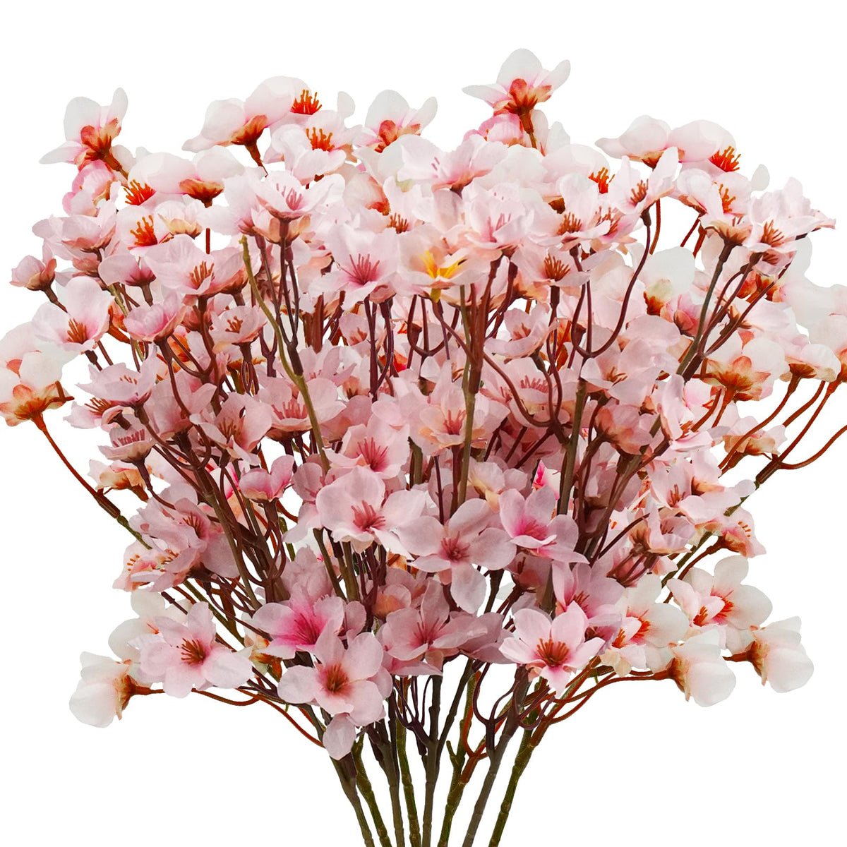 Uieke branche de fleurs de cerisier face, ajoute une touche printanière
