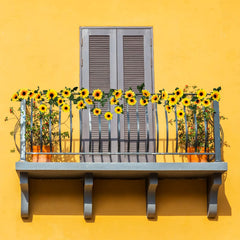 Uieke gros plan tête de tournesol en soie fidèle à l'aspect naturel