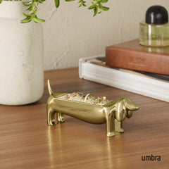 Umbra Dachsie gros plan métal poli montrant texture et brillance
