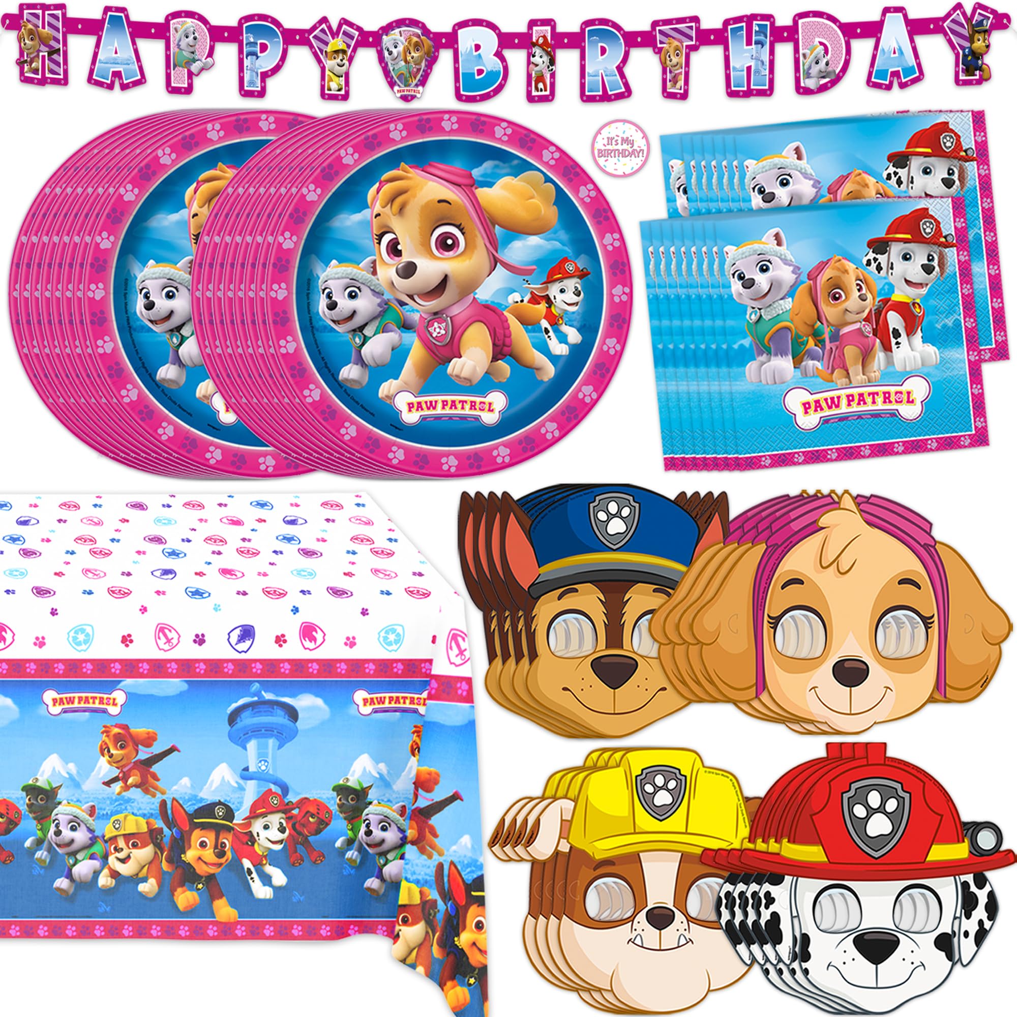 Unique Paw Patrol face de l'emballage montrant contenu et thème Skye pour organisation rapide