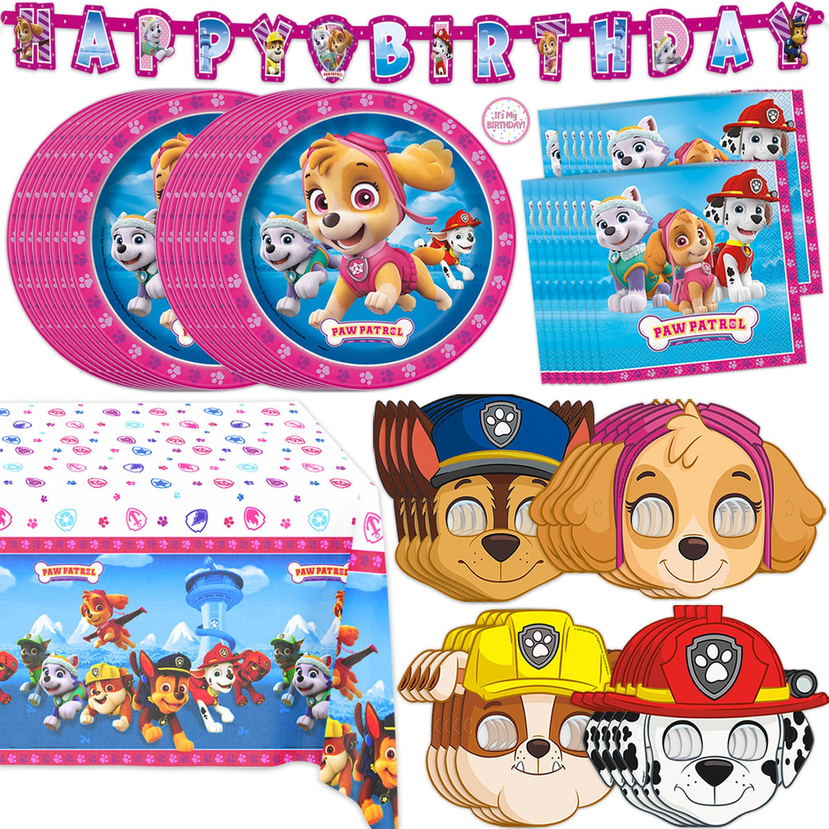 Unique Paw Patrol face de l'emballage montrant contenu et thème Skye pour organisation rapide