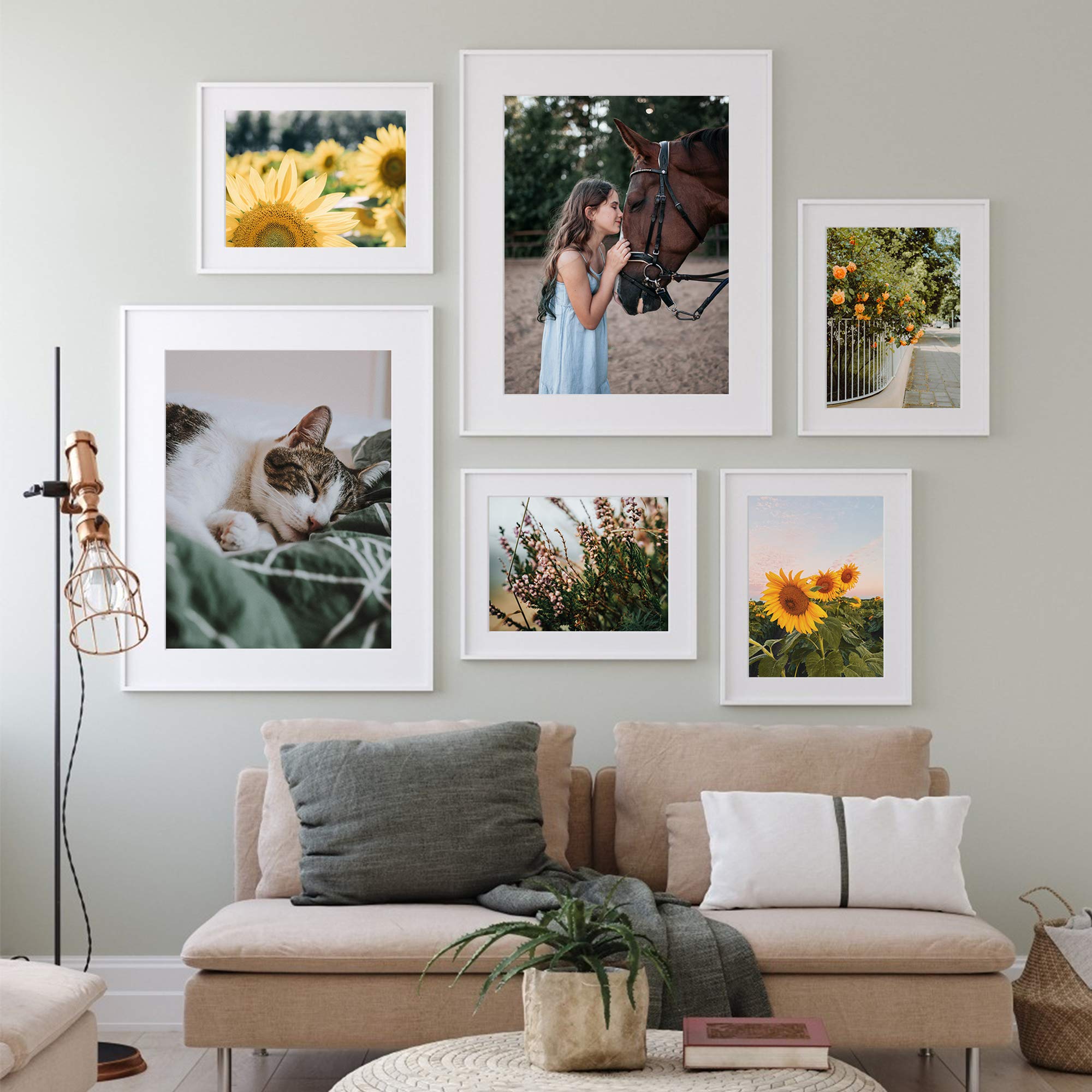 upsimples emballage protégé montrant livraison sans dommages