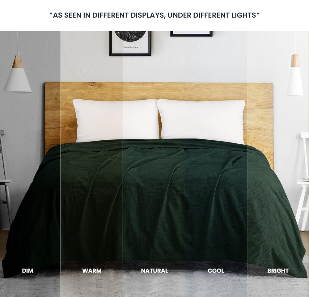 Utopia Bedding mise en scène dans une chambre verte pour ambiance cosy