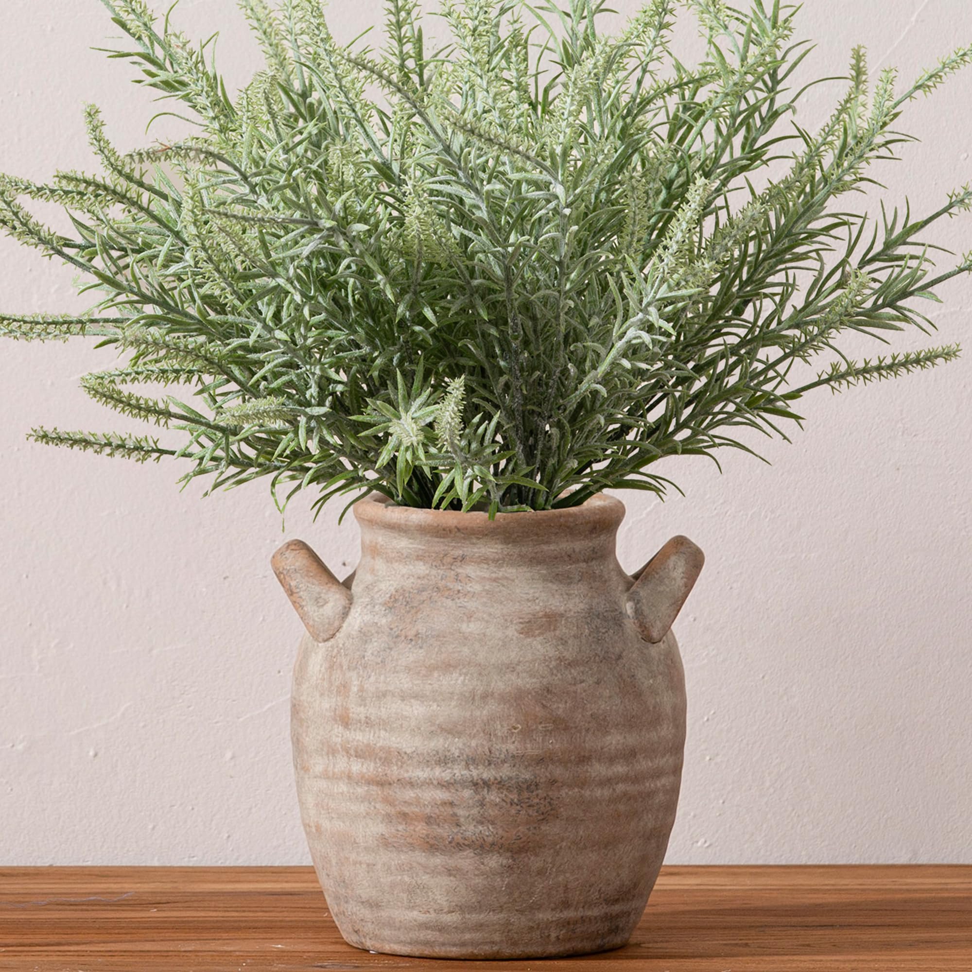Vanselia vase à l'échelle près d'un livre illustrant taille compacte