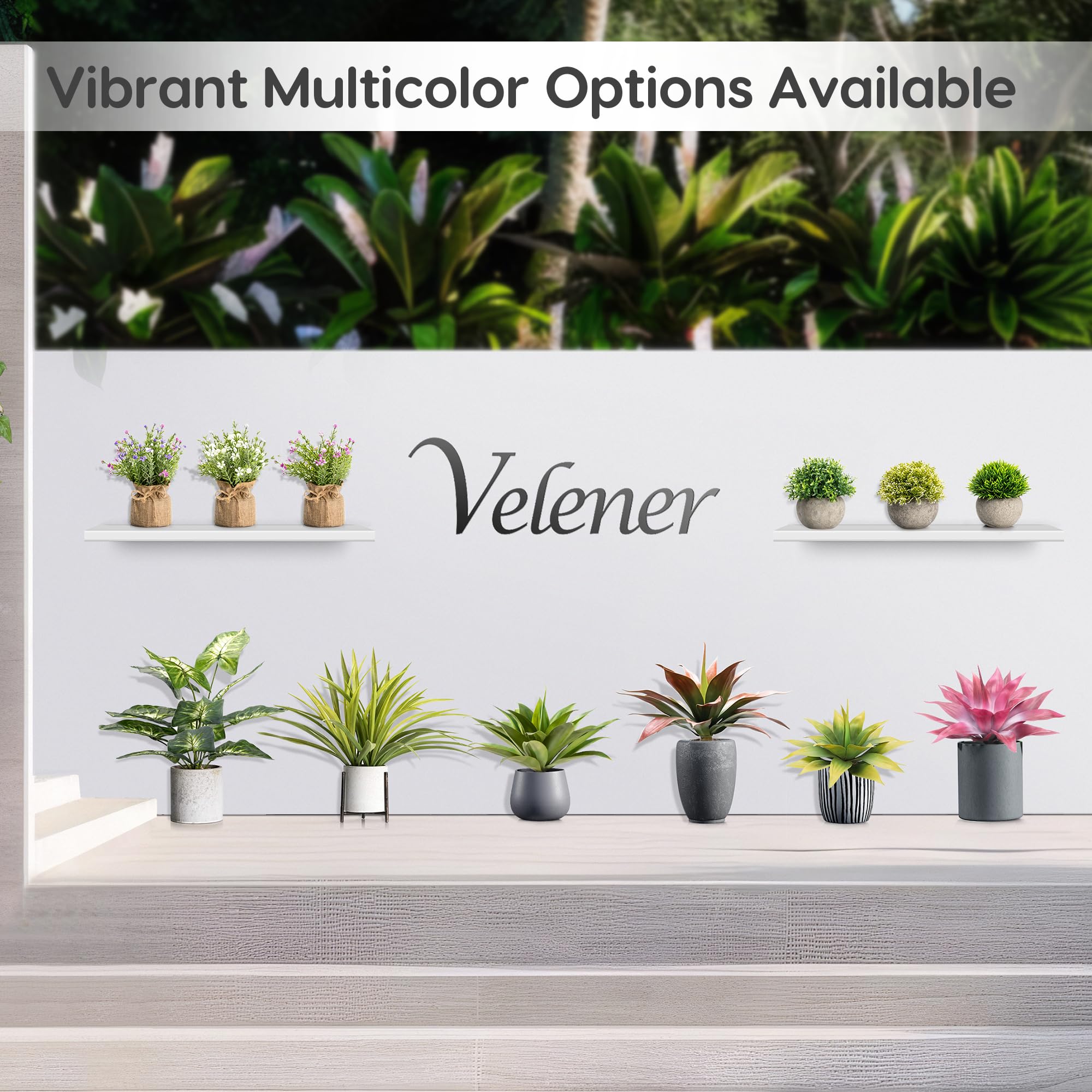 Velener agave base sans pot compatible avec plusieurs jardinières
