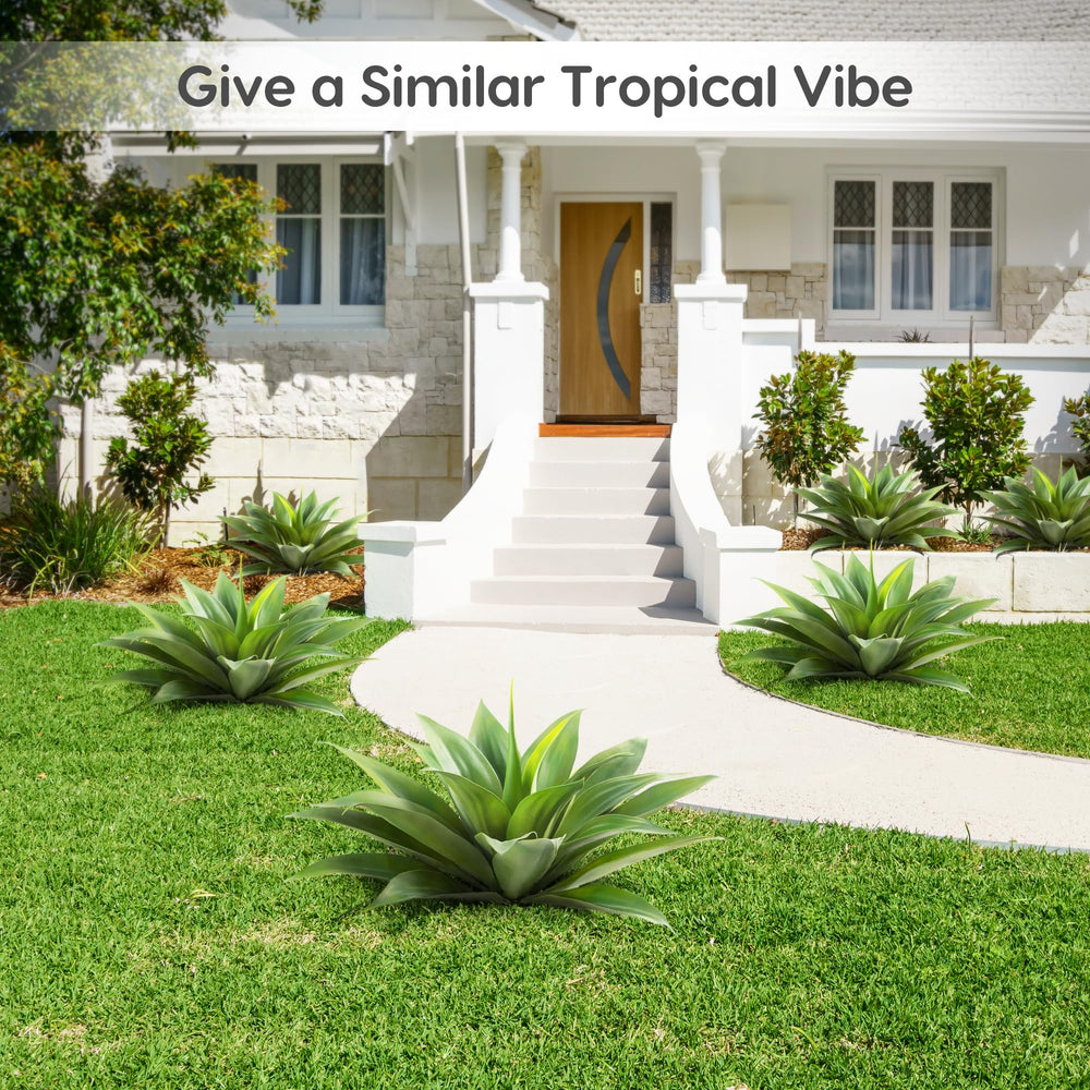 Velener agave en pot sur terrasse apporte verdure sans entretien