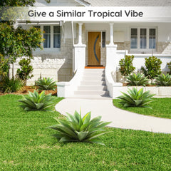 Velener agave en pot sur terrasse apporte verdure sans entretien