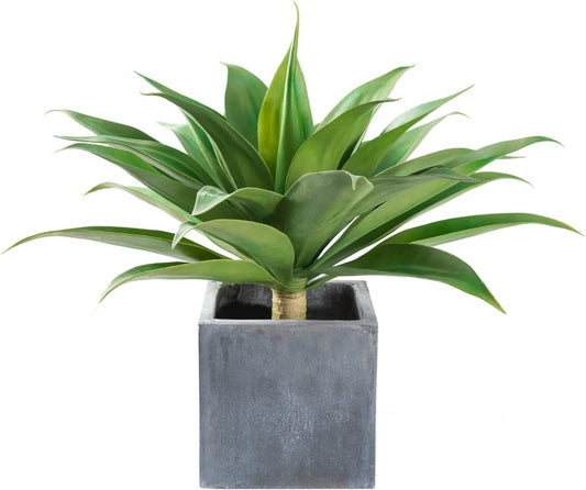 Velener agave face avant montrant volume et design naturel
