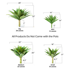 Velener agave gros plan feuilles en PE avec texture réaliste