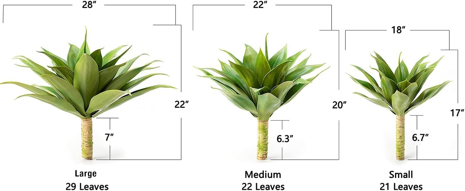 Velener agave salon déco ajoutant un point focal vert permanent