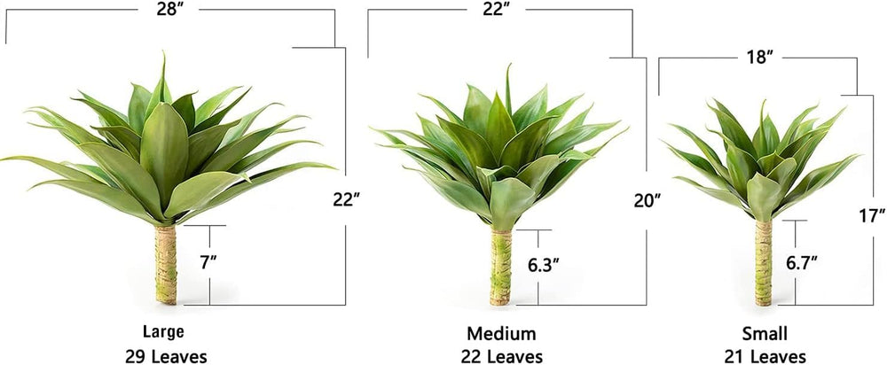Velener agave salon déco ajoutant un point focal vert permanent