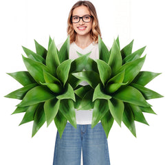 Velener agave vue face, impact visuel immédiat et durable