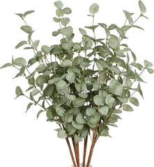 VGIA emballage frontal de 12 tiges eucalyptus, gain de temps déco