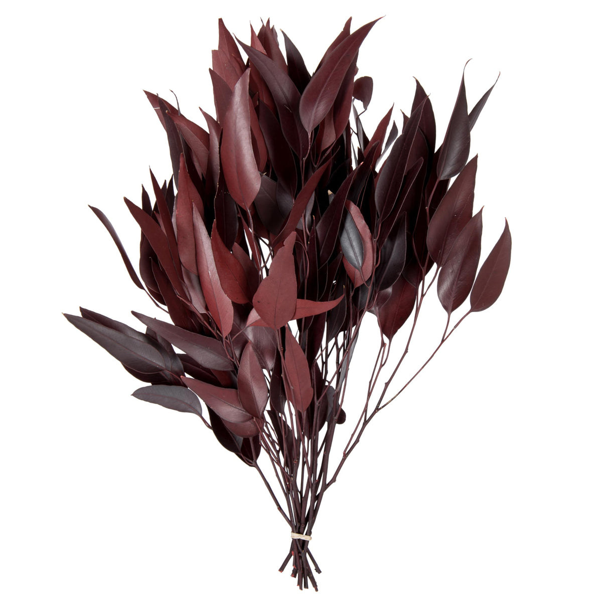 Vickerman branche face avant montrant couleur bordeaux et effet naturel