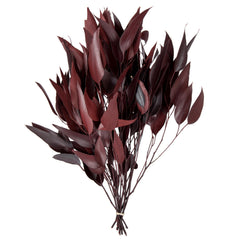 Vickerman branche face avant montrant couleur bordeaux et effet naturel