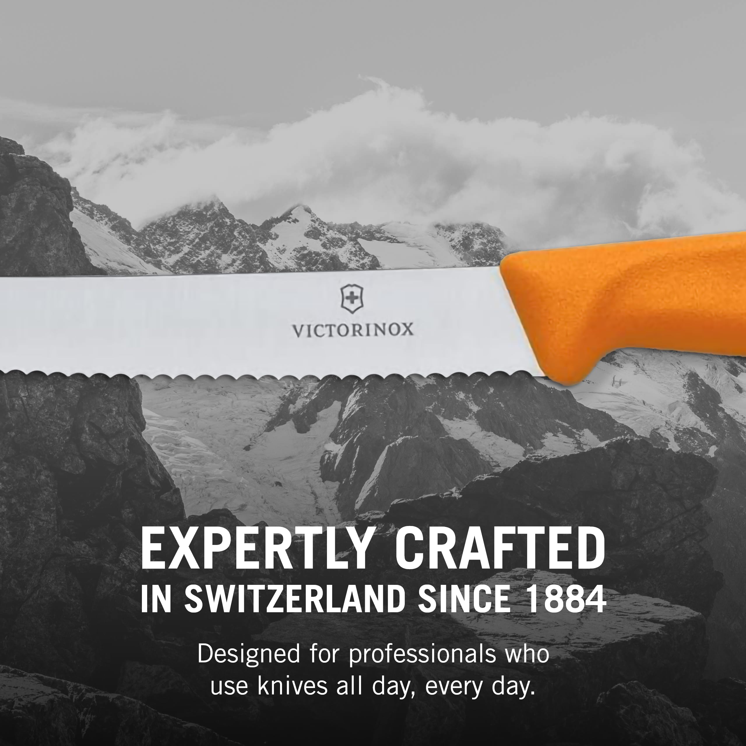 Victorinox comparaison taille-main échelle montrant compacité pratique