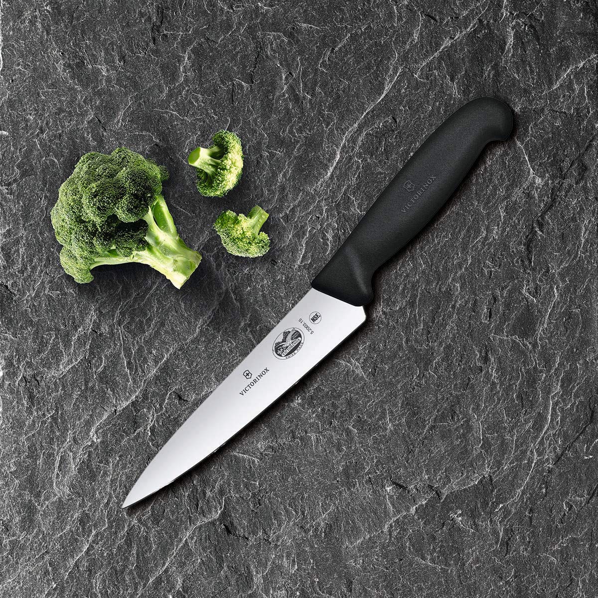Victorinox Fibrox posé à côté dʼune règle pour comparaison de taille pratique