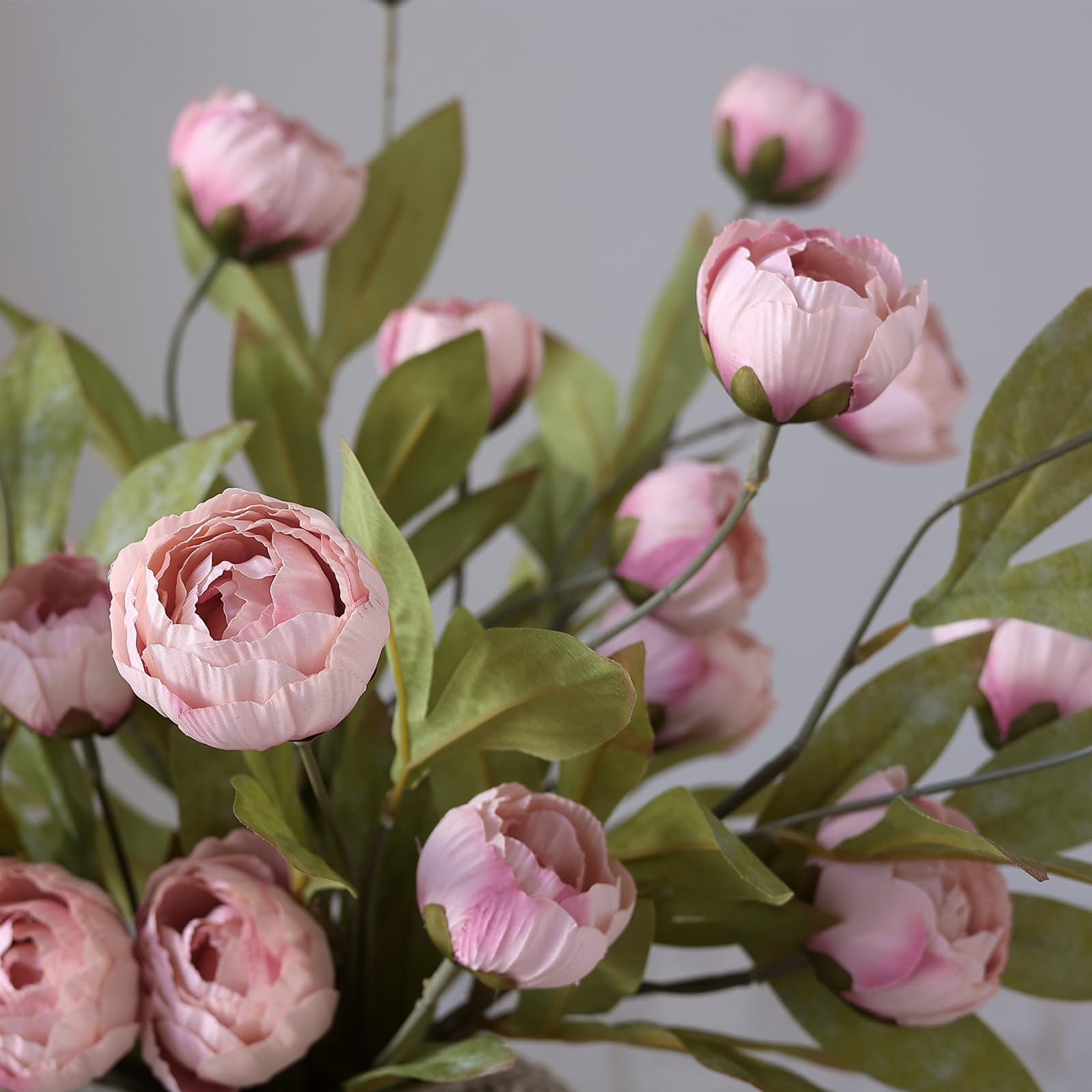 VIERENA composition mixte feuillage et pivoines, volume et contraste