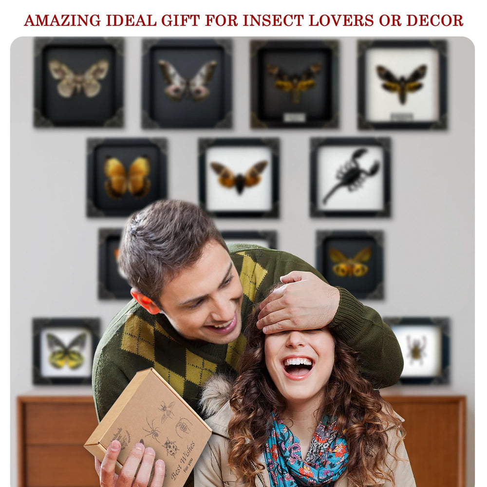 VINADECOR décor mural gothique avec le coffret apportant une touche unique