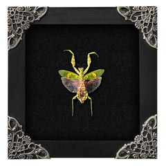 vinatimes mante vue de face mettant en valeur motifs et posture, décoration naturelle