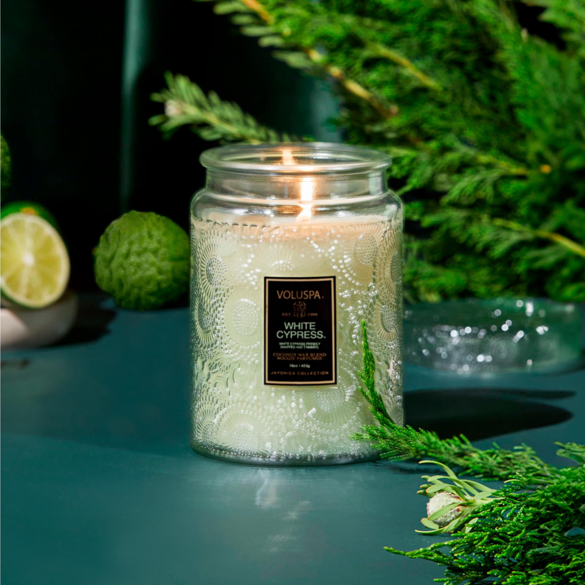 Voluspa gros plan cire de noix de coco montrant texture pure