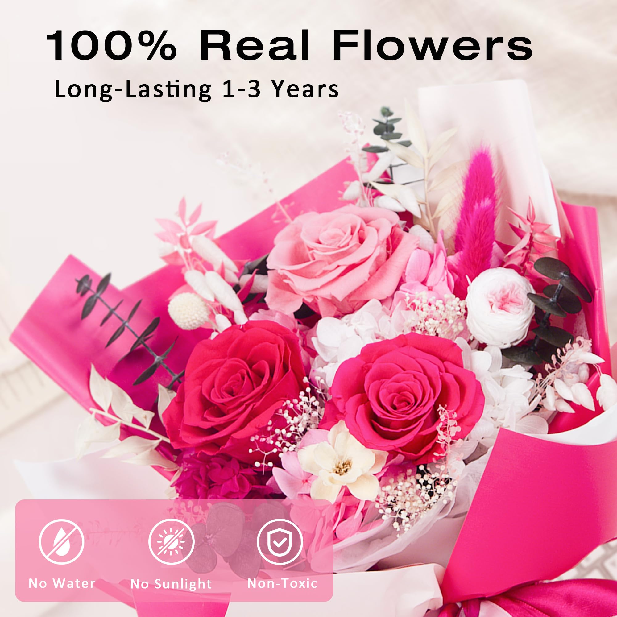 Vrioca gros plan sur rose stabilisée montrant texture et couleur fidèle