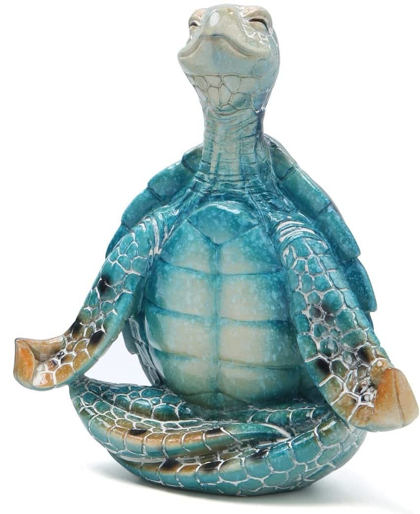 VVGIFTS tortue méditation mise en scène jardin relaxant ambiant