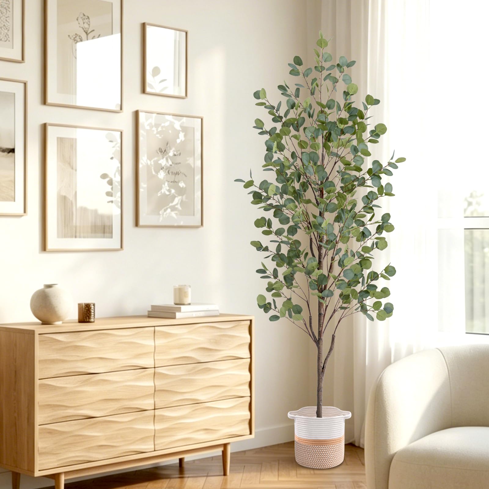 Waipfaru eucalyptus placé dans un bureau pour ambiance professionnelle