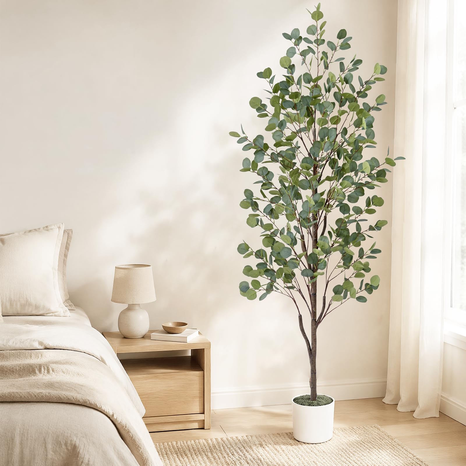 Waipfaru eucalyptus installé dans un salon modernisant l'espace