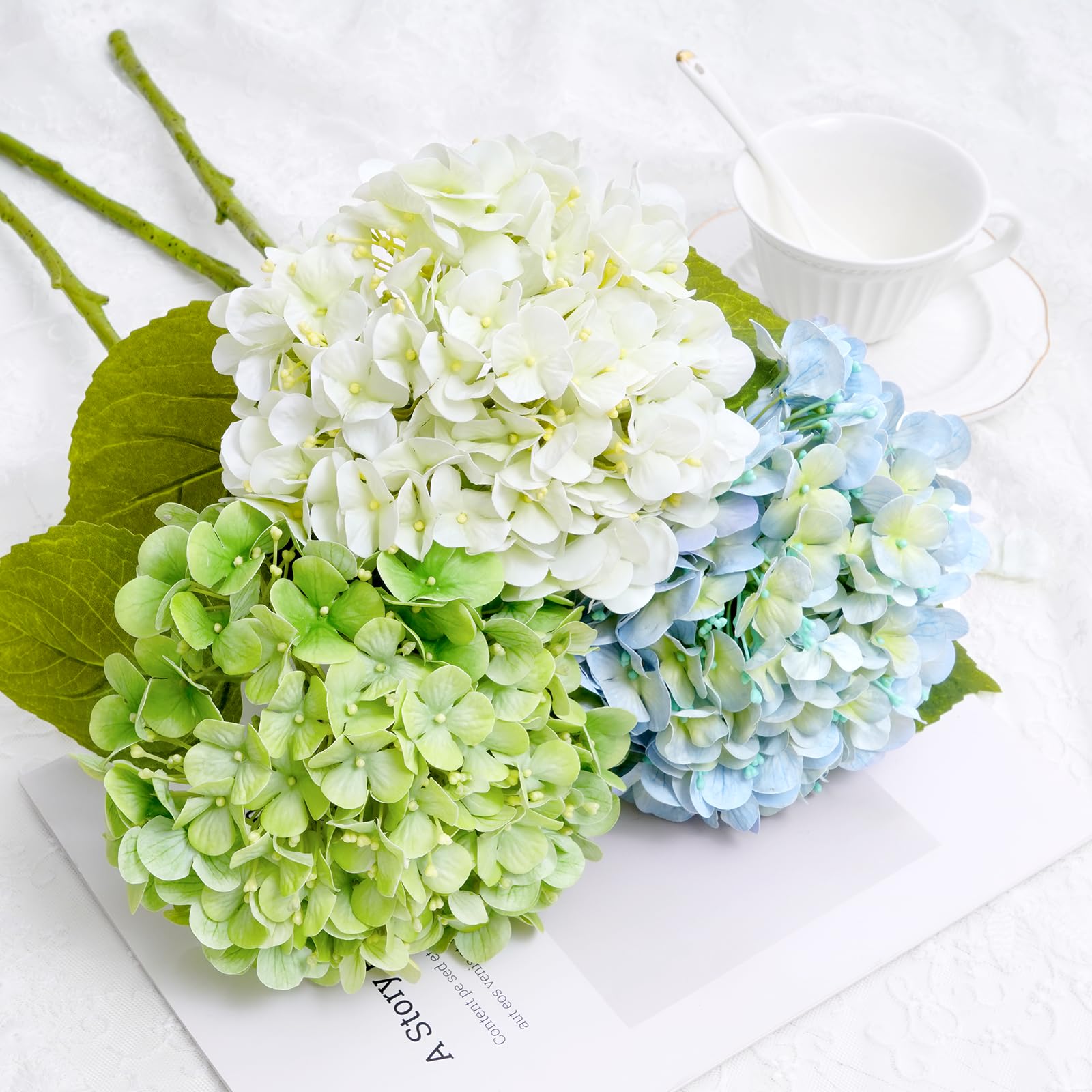 Waipfaru comparaison taille tige et fleur pour visualiser proportions réelles
