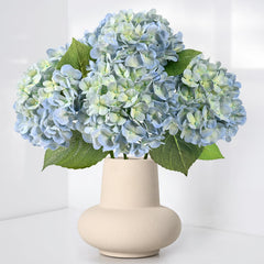 Waipfaru hortensias pack avant montrant quatre tiges prêtes à décorer