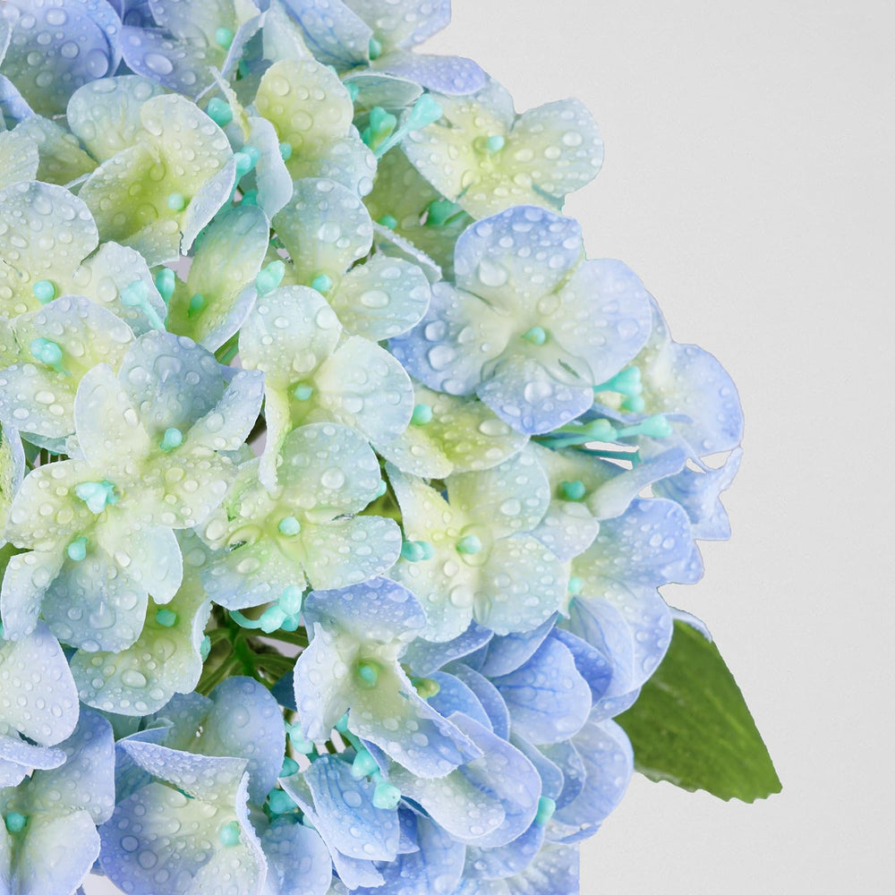 Waipfaru hortensias en vase sur table montrant ambiance élégante instantanée