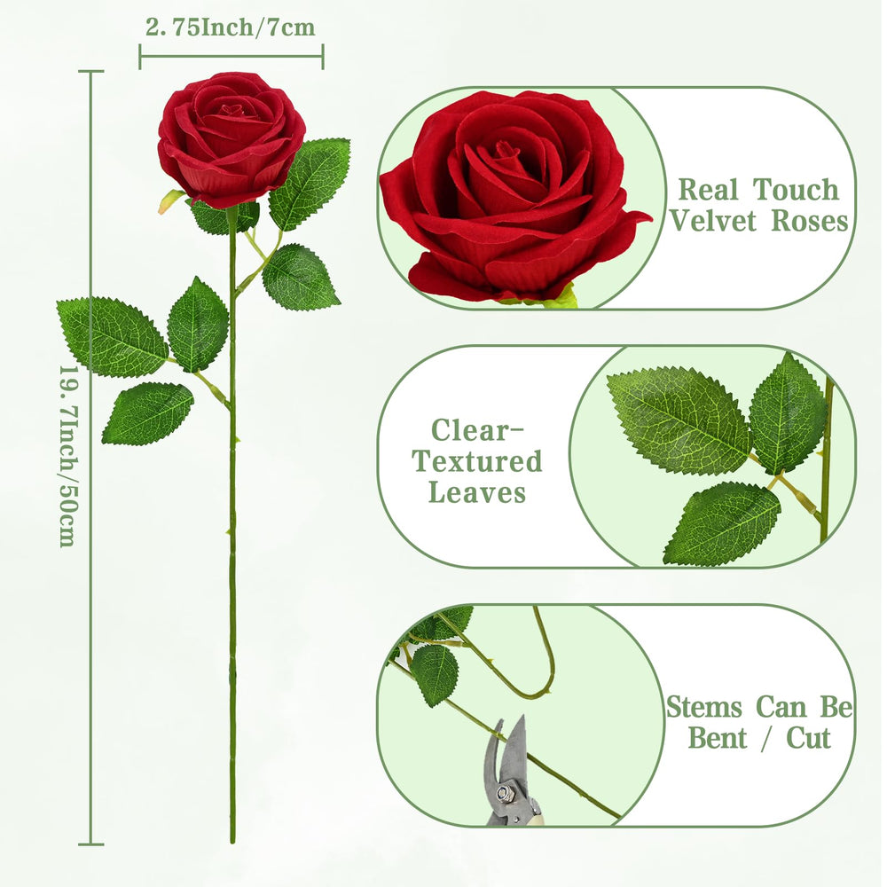 Waipfaru rangée de 50 roses alignées, excellent rapport quantité/valeur