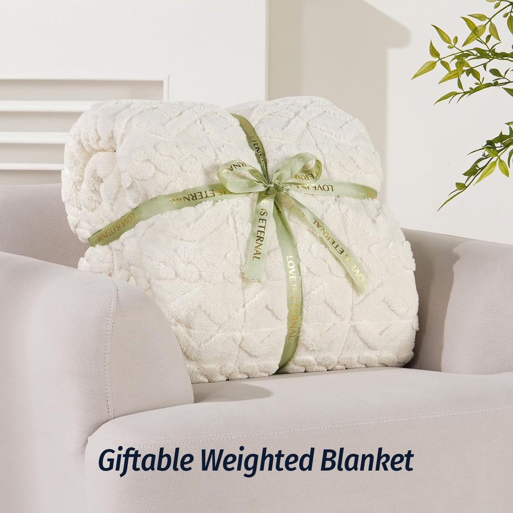 Wemore comparaison échelle montrant taille twin 48x72 pour lit