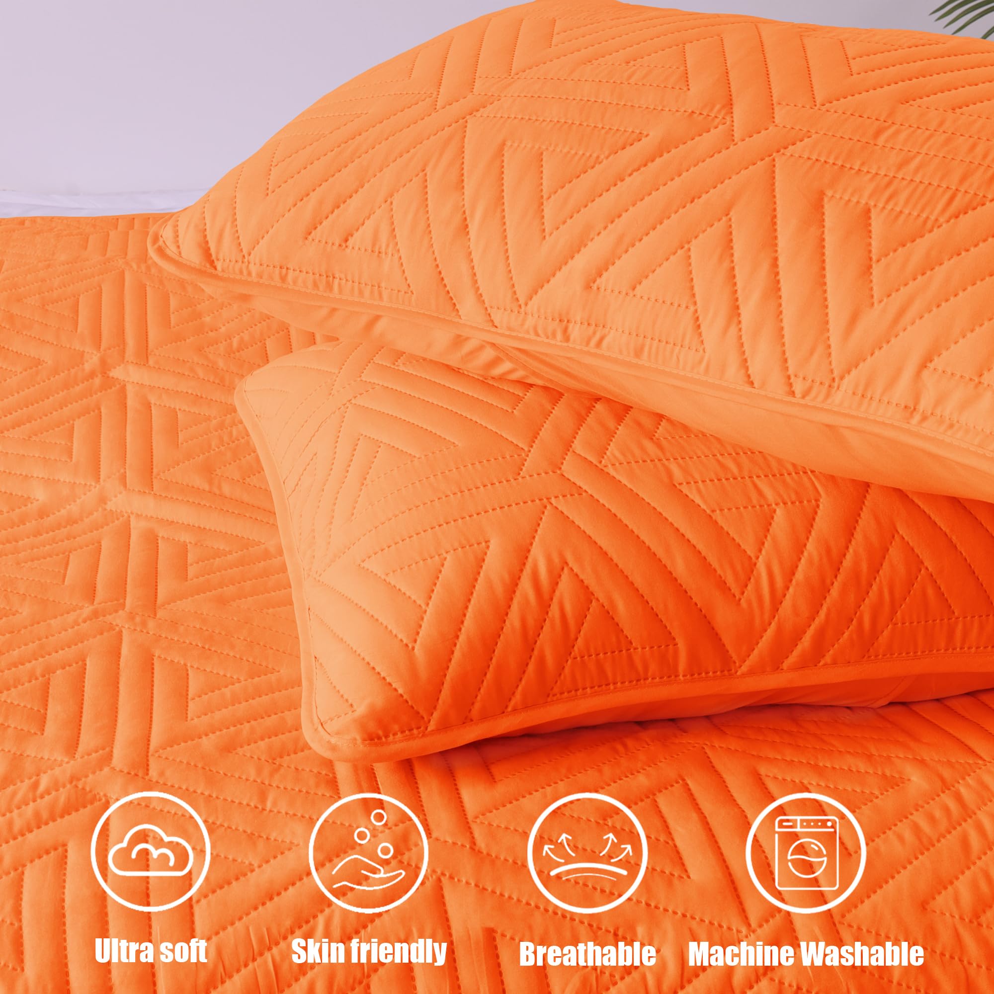 Whale Flotilla mise en scène chambre orange, transforme l'ambiance et ajoute chaleur