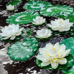 WhistenFla gros plan sur lotus 7 pouces, texture en mousse réaliste et durable