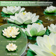 WhistenFla détail lotus 4 pouces montrant la souplesse et finition résistante