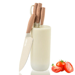 wiztoynia face avant du coffret montrant design beige et contenu