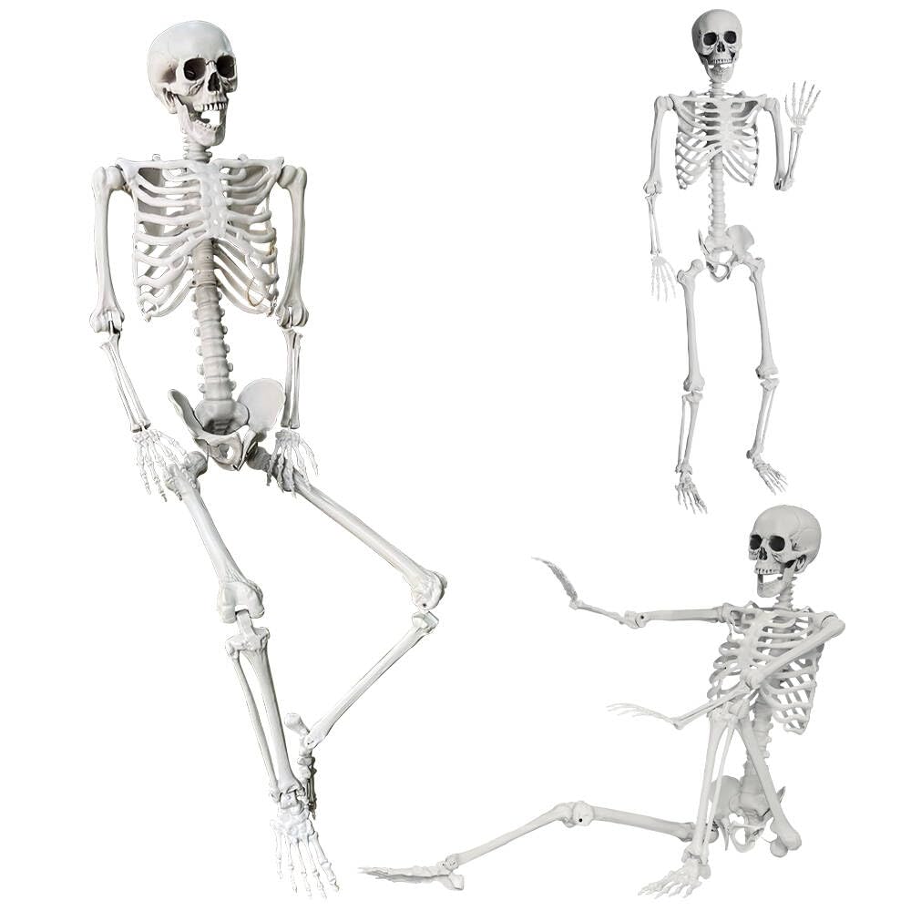 Wocst squelette face plein corps hauteur réaliste pour décor Halloween