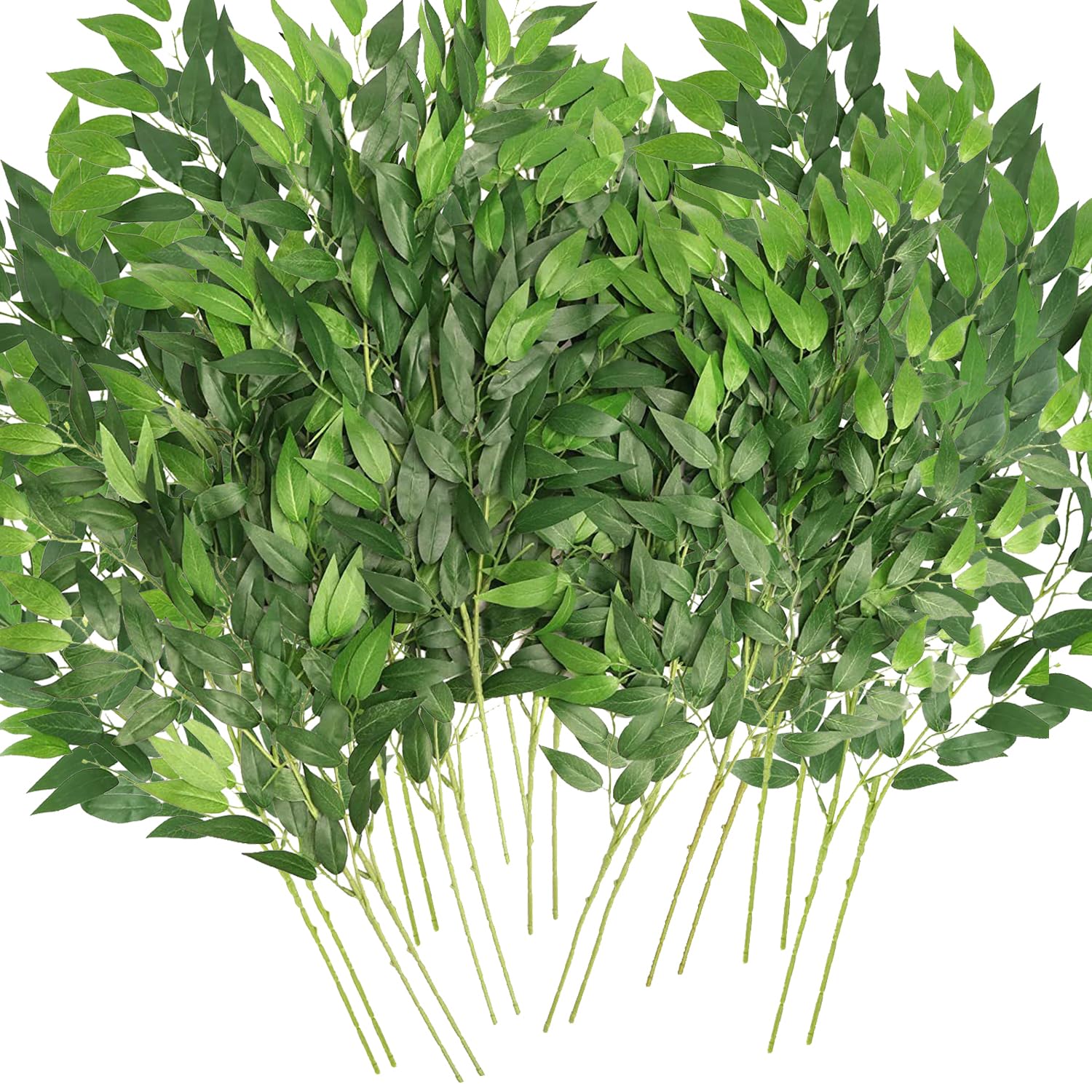 WONICE lot de 20 tiges ruscus vue frontale apport naturel