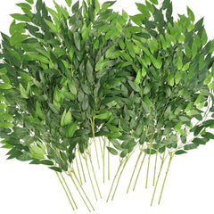 WONICE lot de 20 tiges ruscus vue frontale apport naturel