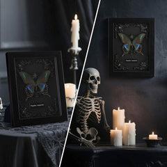 WTUAWB papillon encadré affiché sur mur améliorant ambiance déco sombre